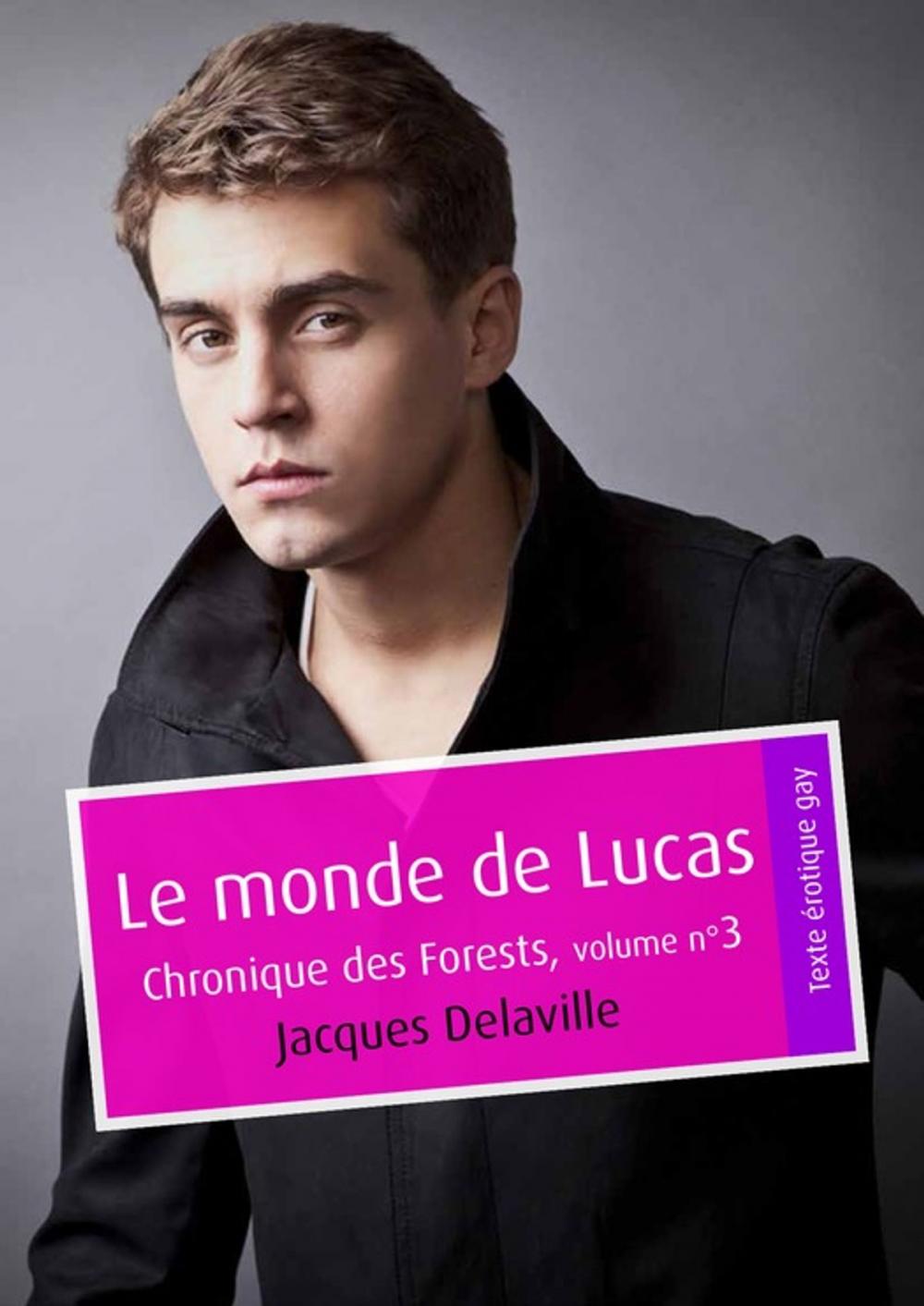 Big bigCover of Le monde de Lucas (érotique gay)