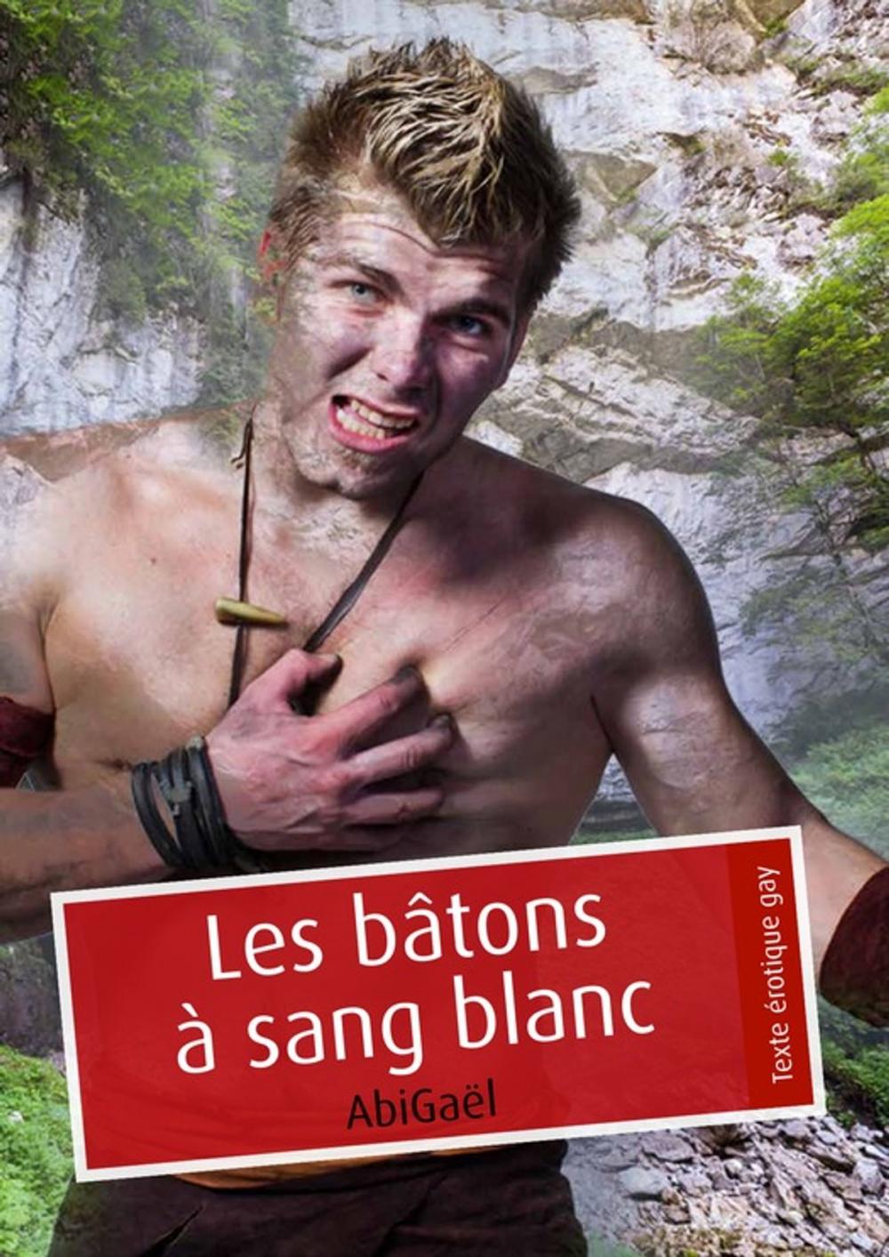 Big bigCover of Les bâtons à sang blanc (pulp gay)