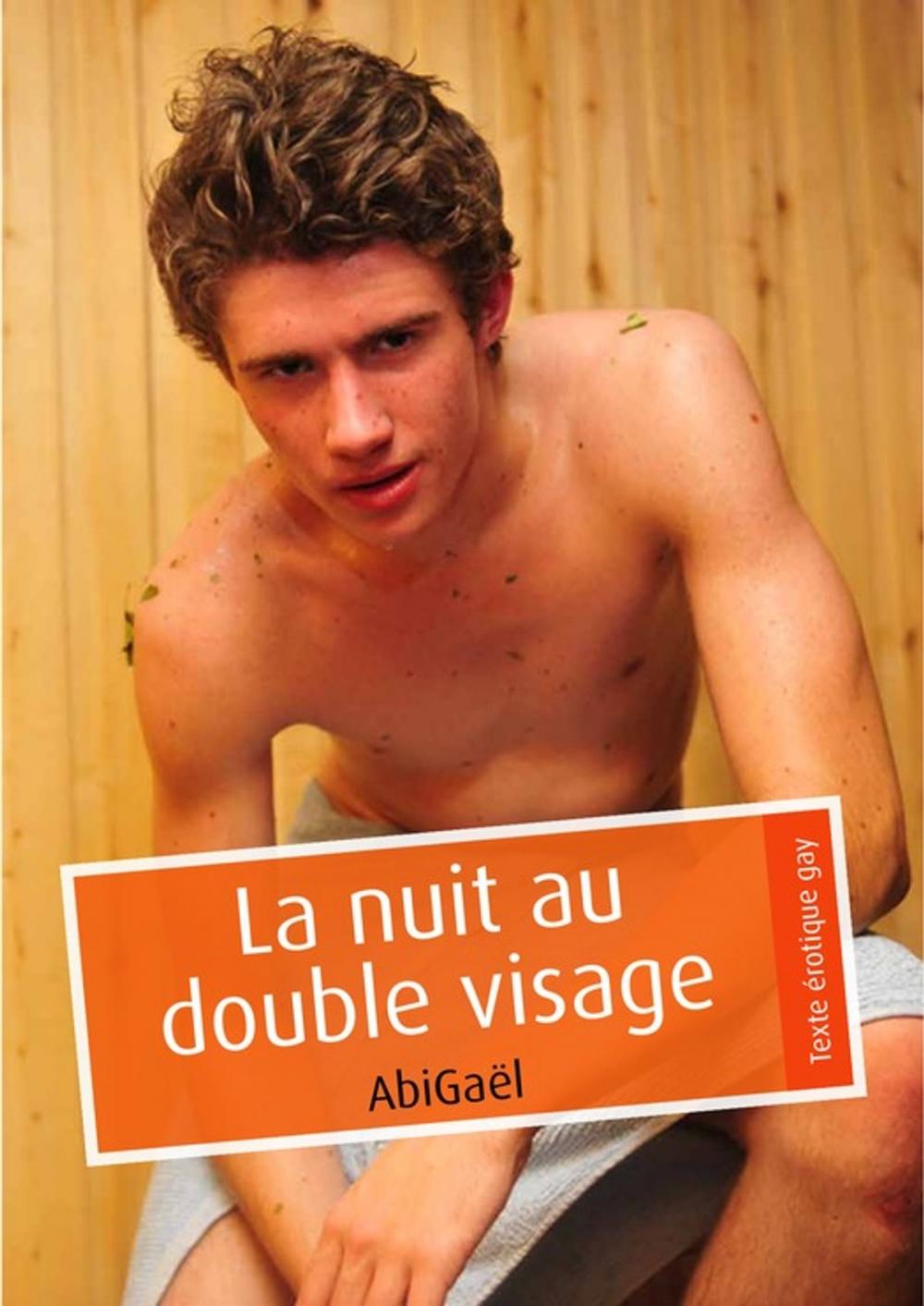 Big bigCover of La nuit au double visage (pulp gay)