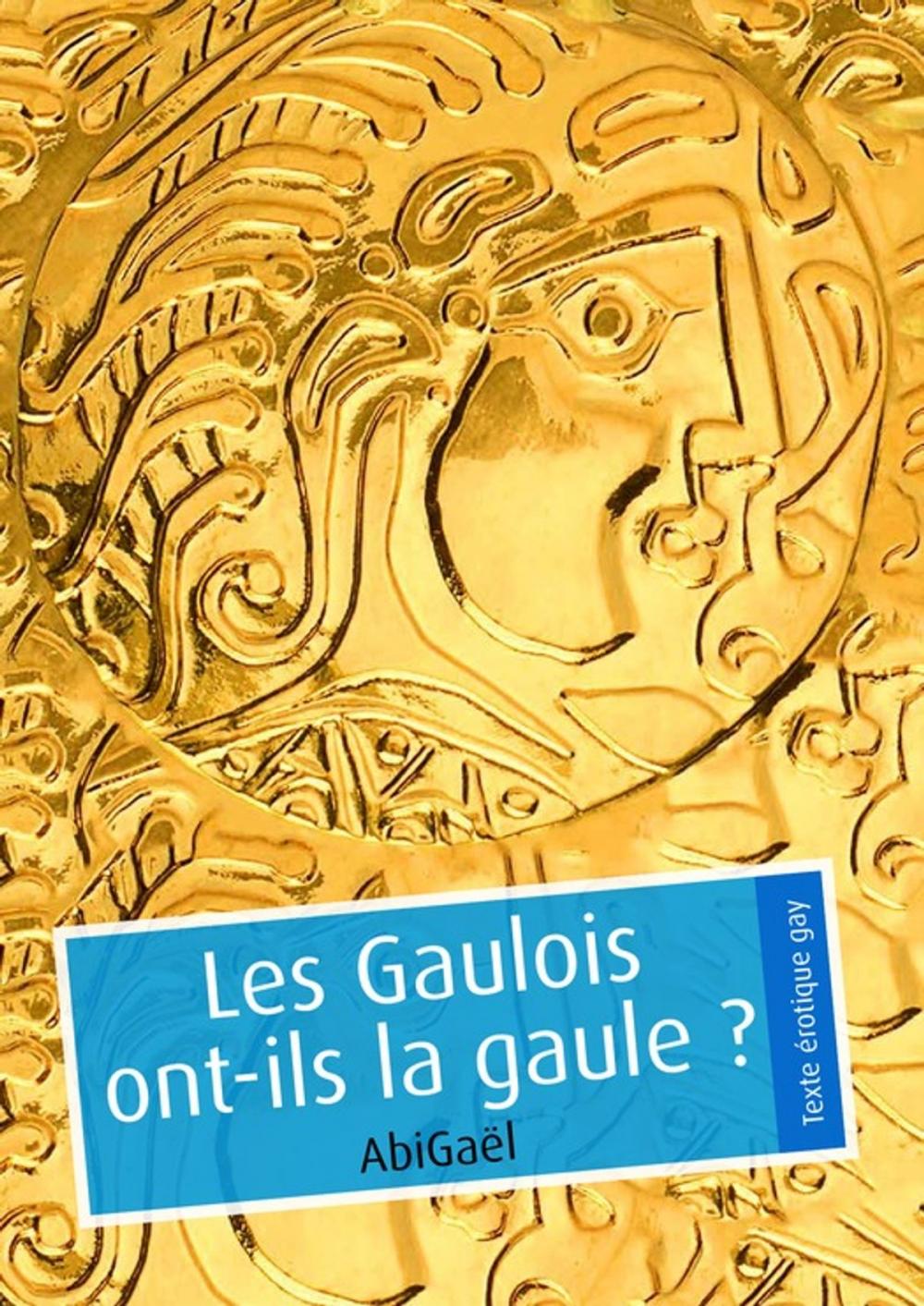 Big bigCover of Les Gaulois ont-ils la gaule ? (pulp gay)