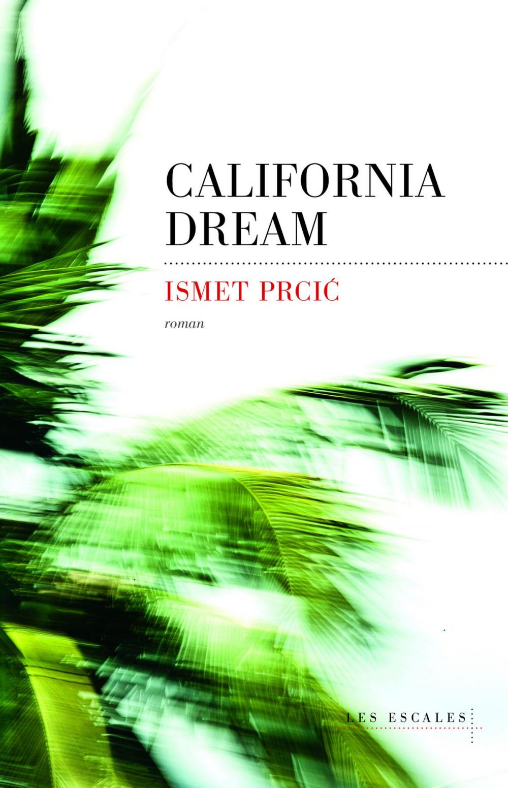 Big bigCover of California Dream