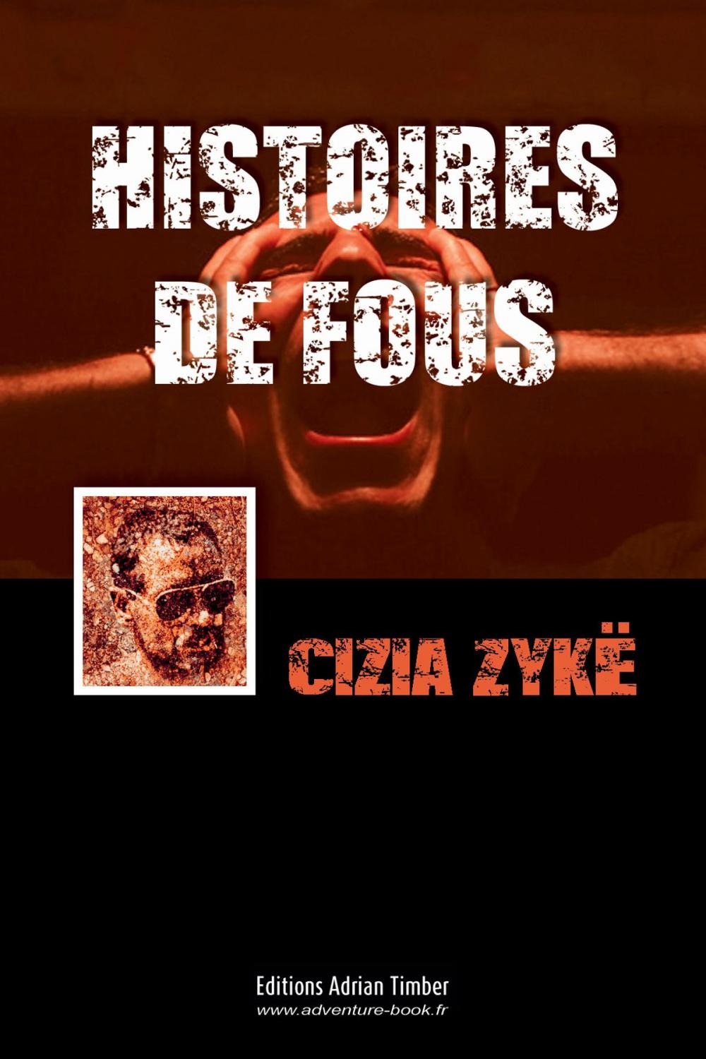 Big bigCover of HISTOIRES DE FOUS