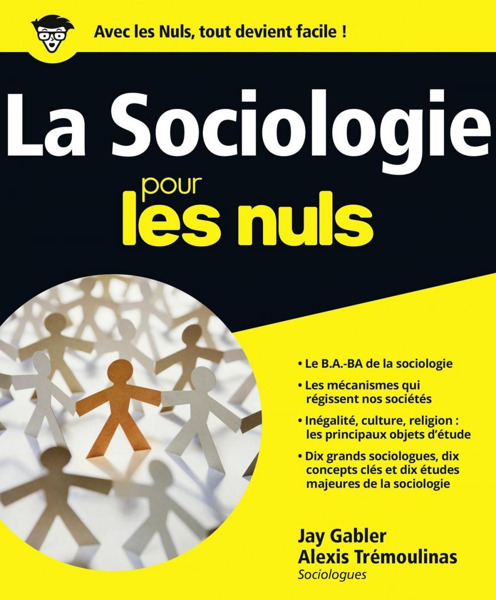 Big bigCover of La Sociologie Pour les Nuls