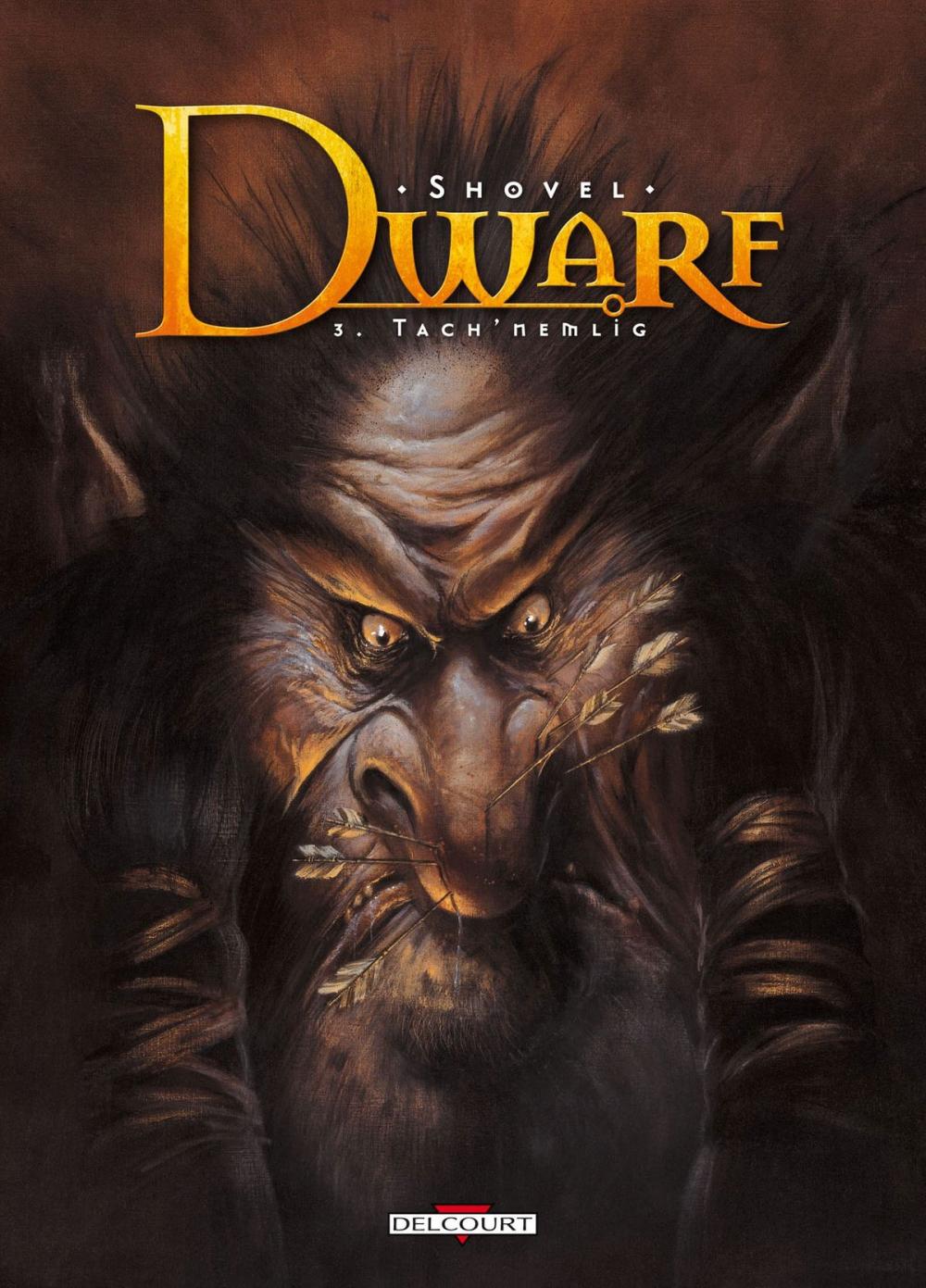 Big bigCover of Dwarf T03