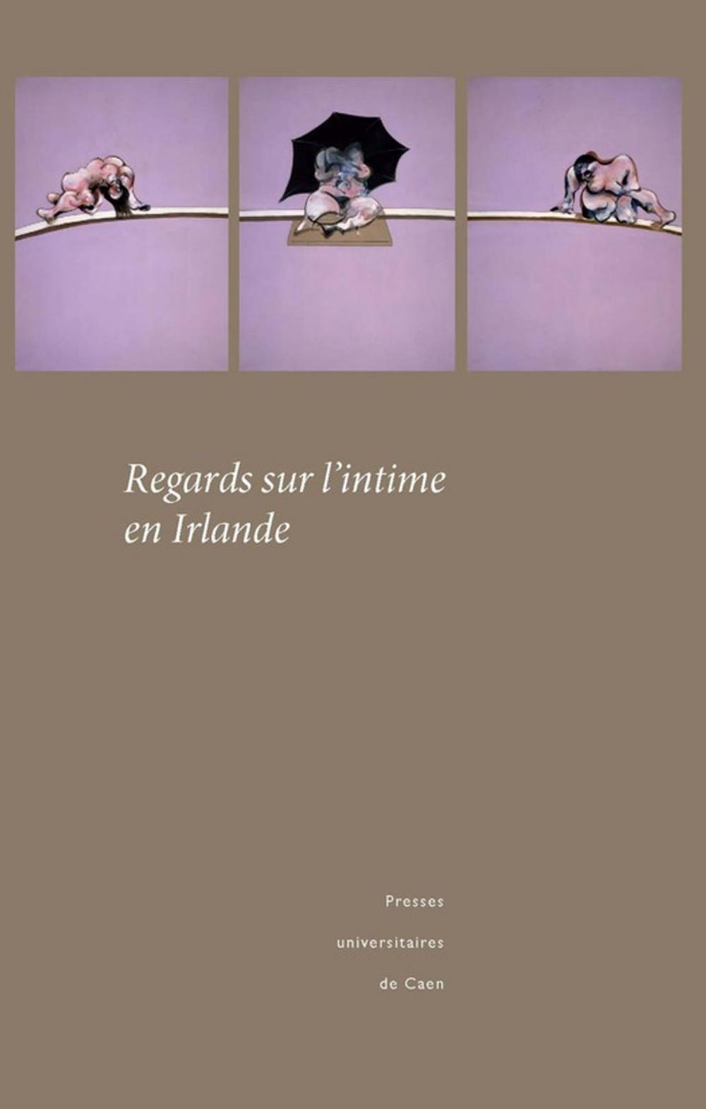 Big bigCover of Regards sur l'intime en Irlande