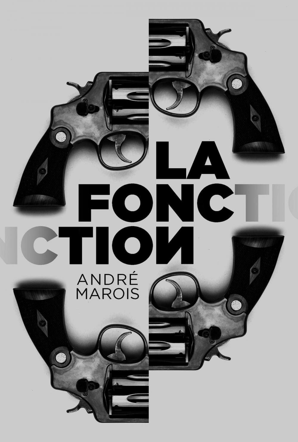 Big bigCover of La fonction