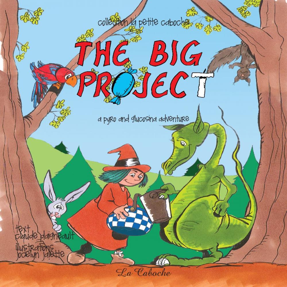 Big bigCover of The big project