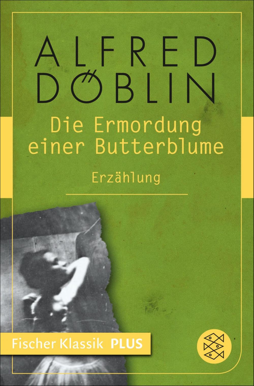 Big bigCover of Die Ermordung einer Butterblume