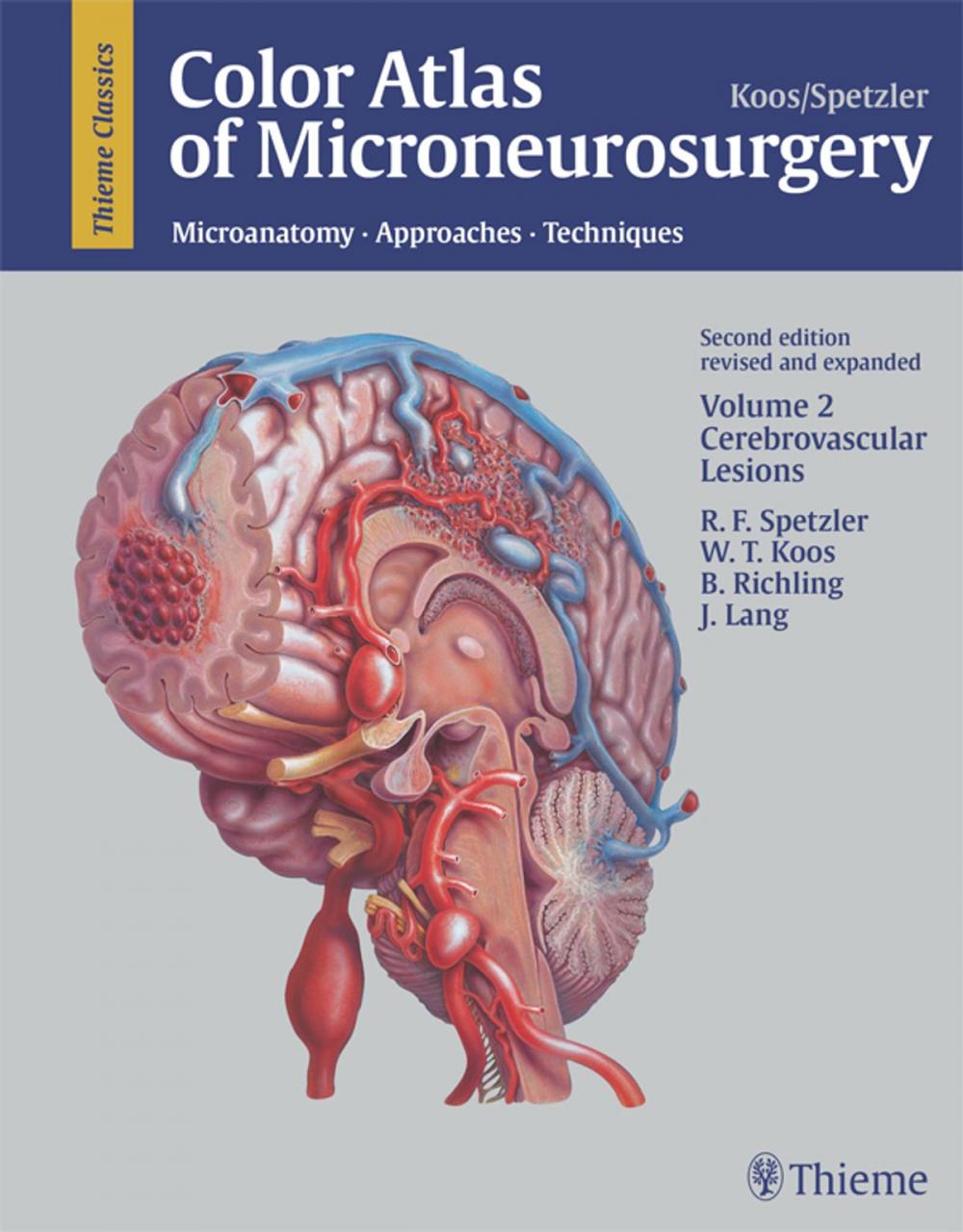 Big bigCover of Color Atlas of Microneurosurgery, Volume 2: Cerebrovascular Lesions