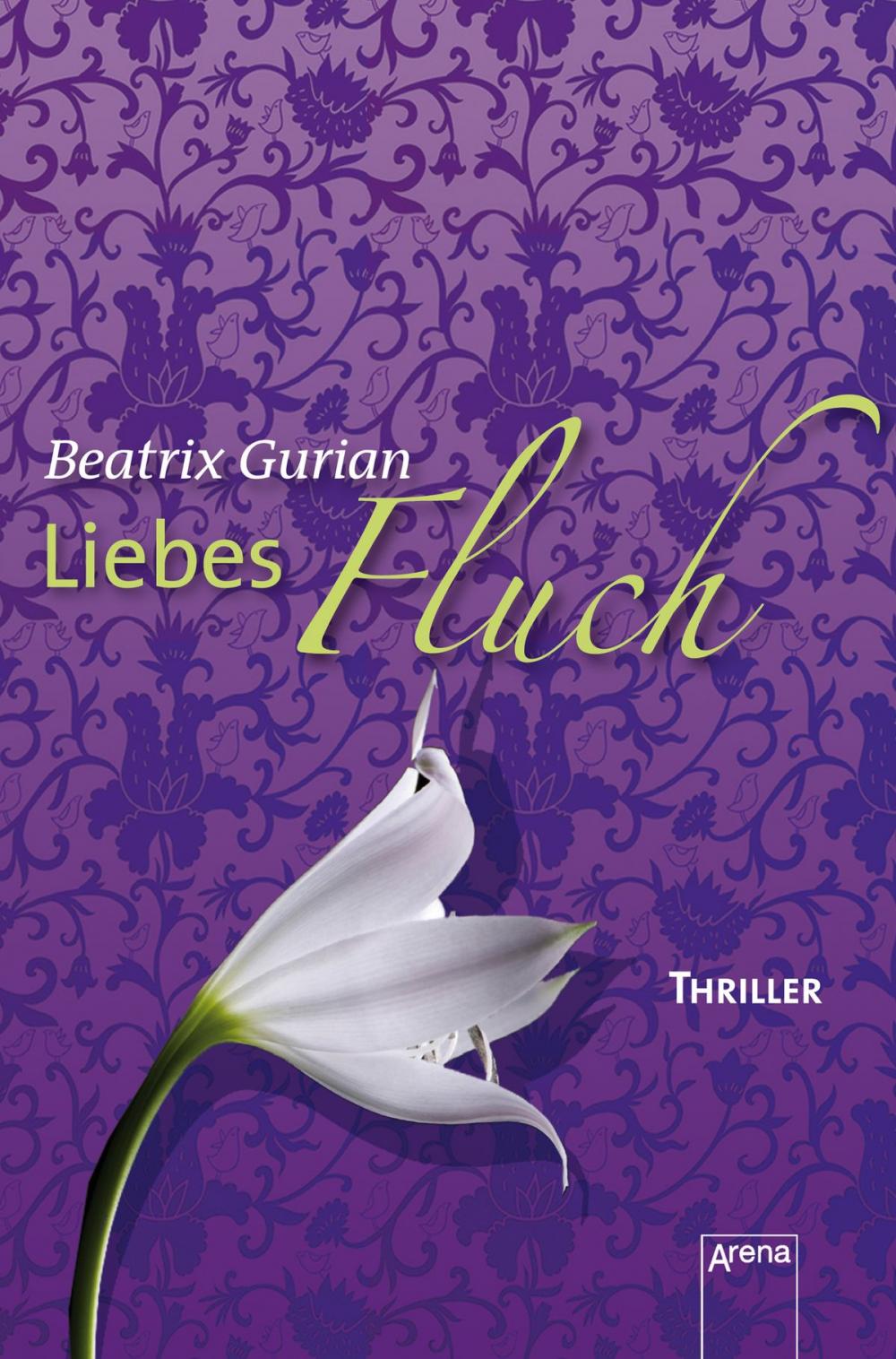 Big bigCover of Liebesfluch