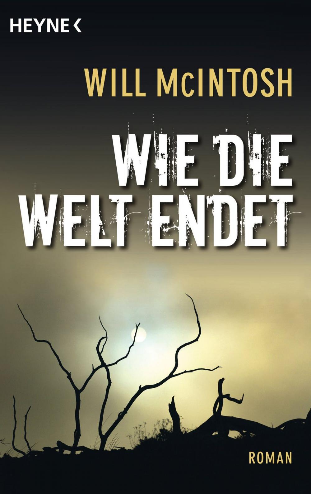 Big bigCover of Wie die Welt endet