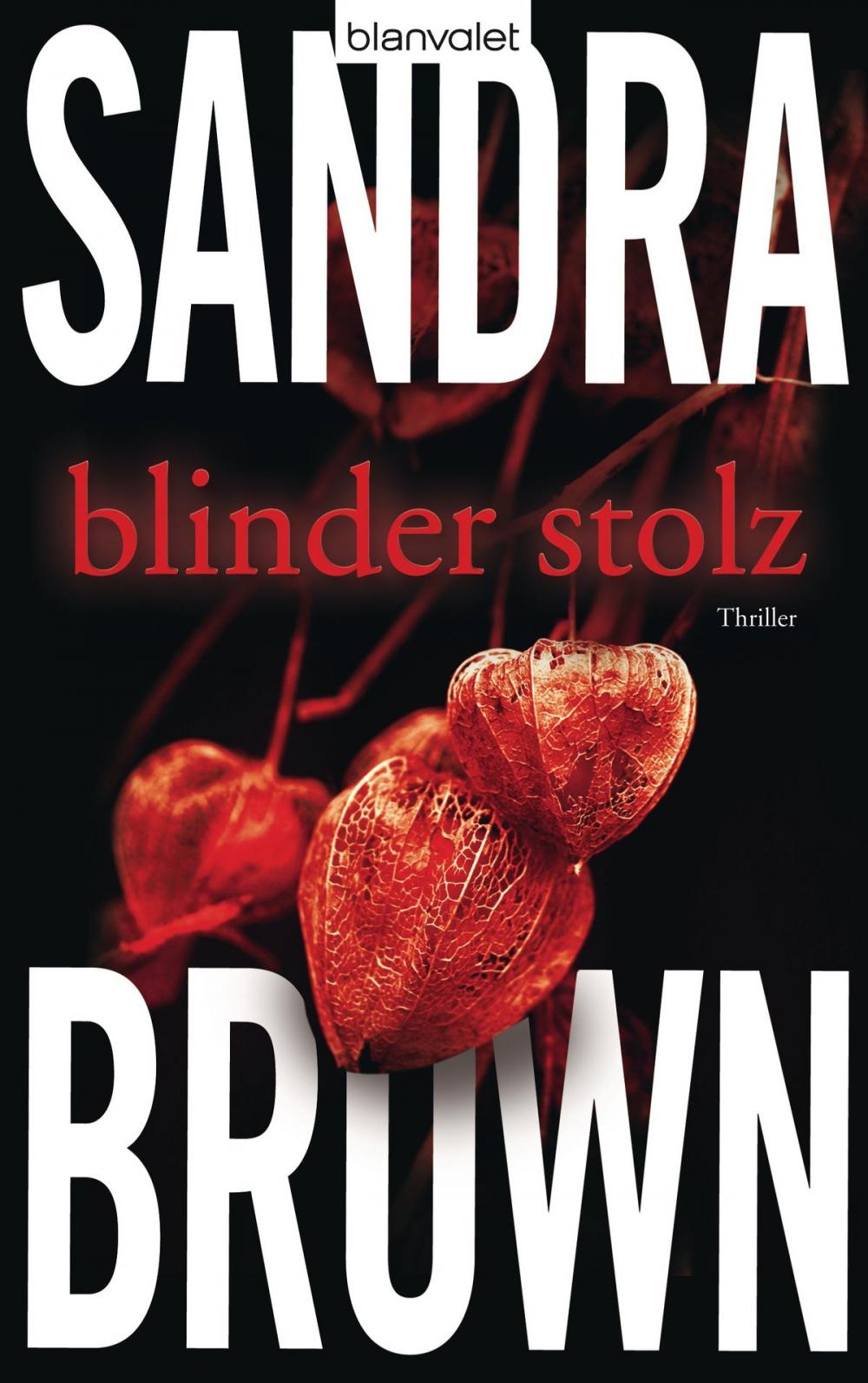 Big bigCover of Blinder Stolz