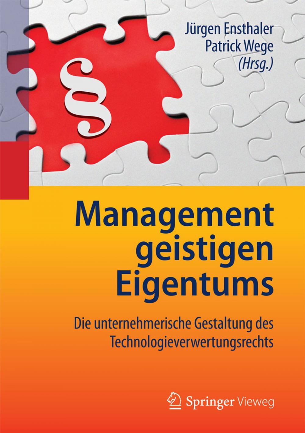 Big bigCover of Management geistigen Eigentums