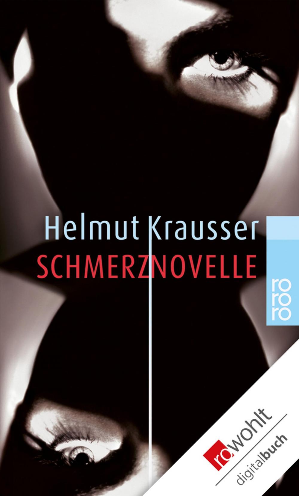 Big bigCover of Schmerznovelle