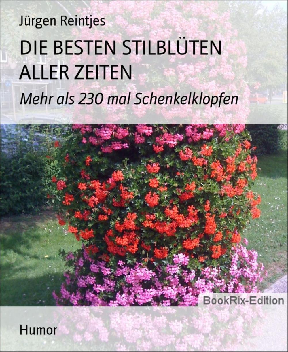 Big bigCover of DIE BESTEN STILBLÜTEN ALLER ZEITEN