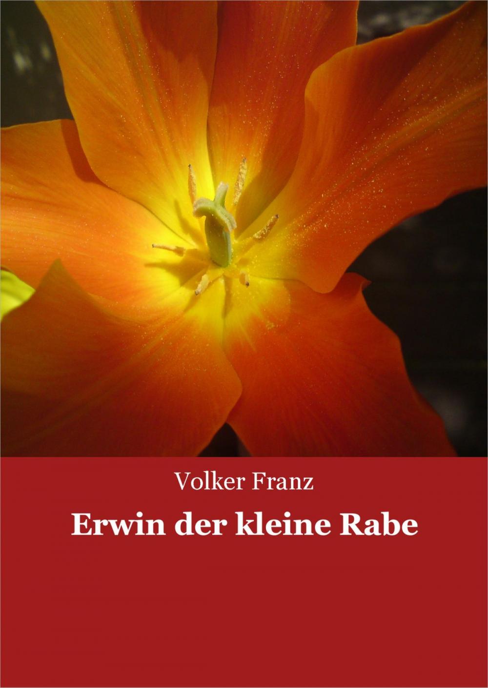 Big bigCover of Erwin der kleine Rabe