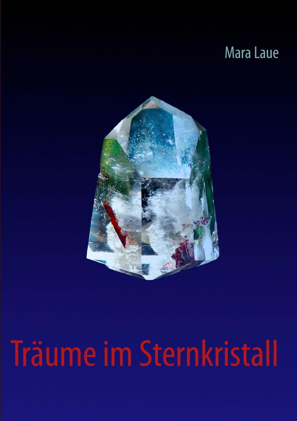 Big bigCover of Träume im Sternkristall