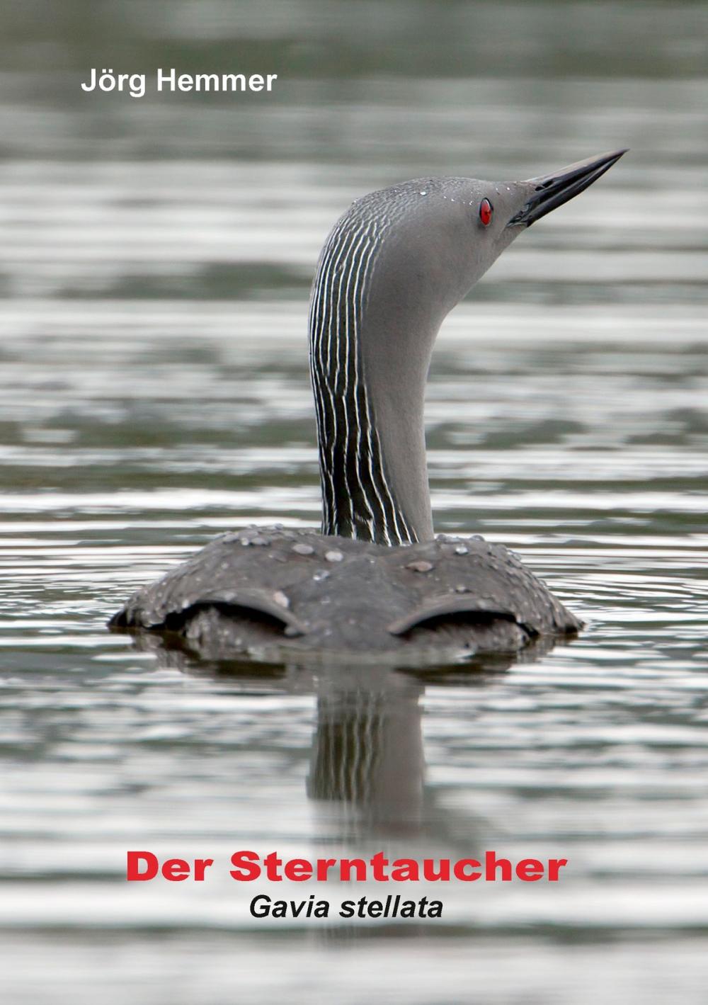 Big bigCover of Der Sterntaucher