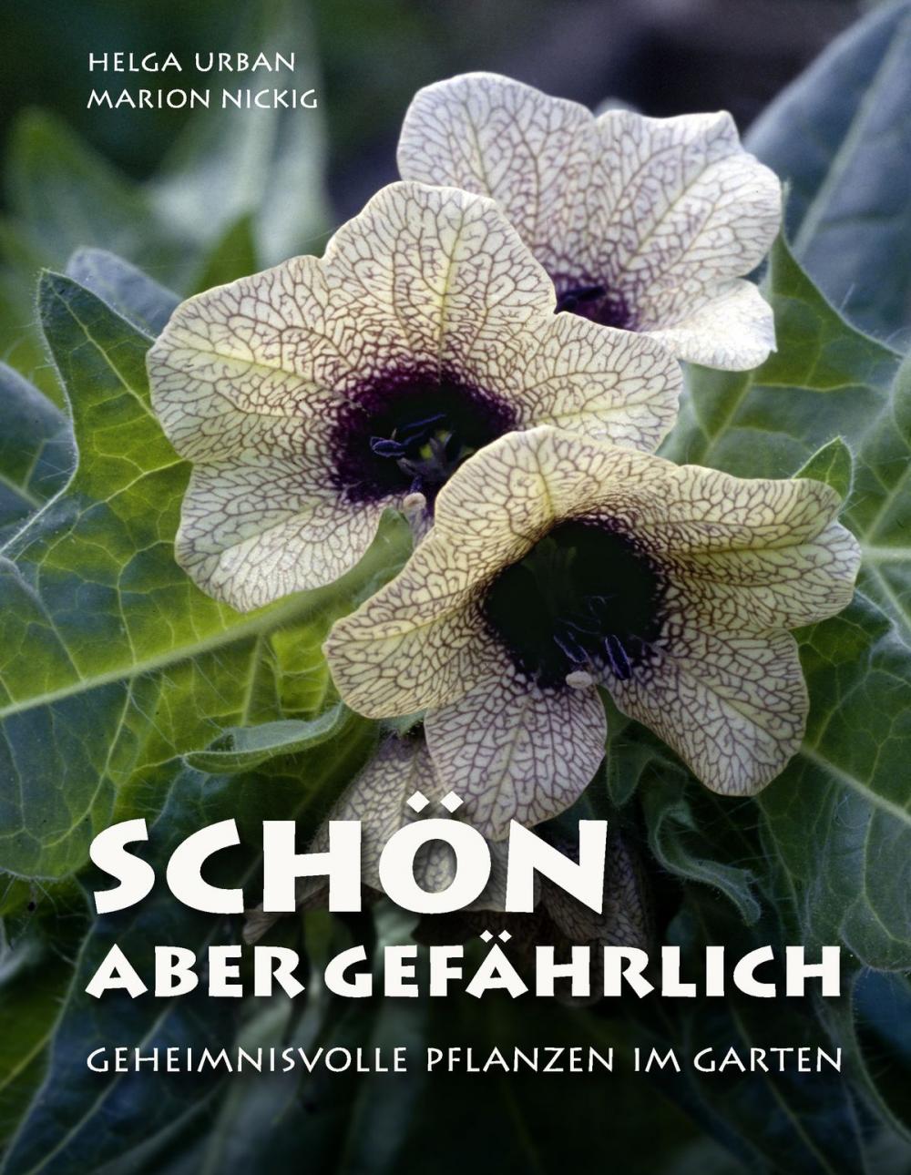 Big bigCover of Schön, aber gefährlich