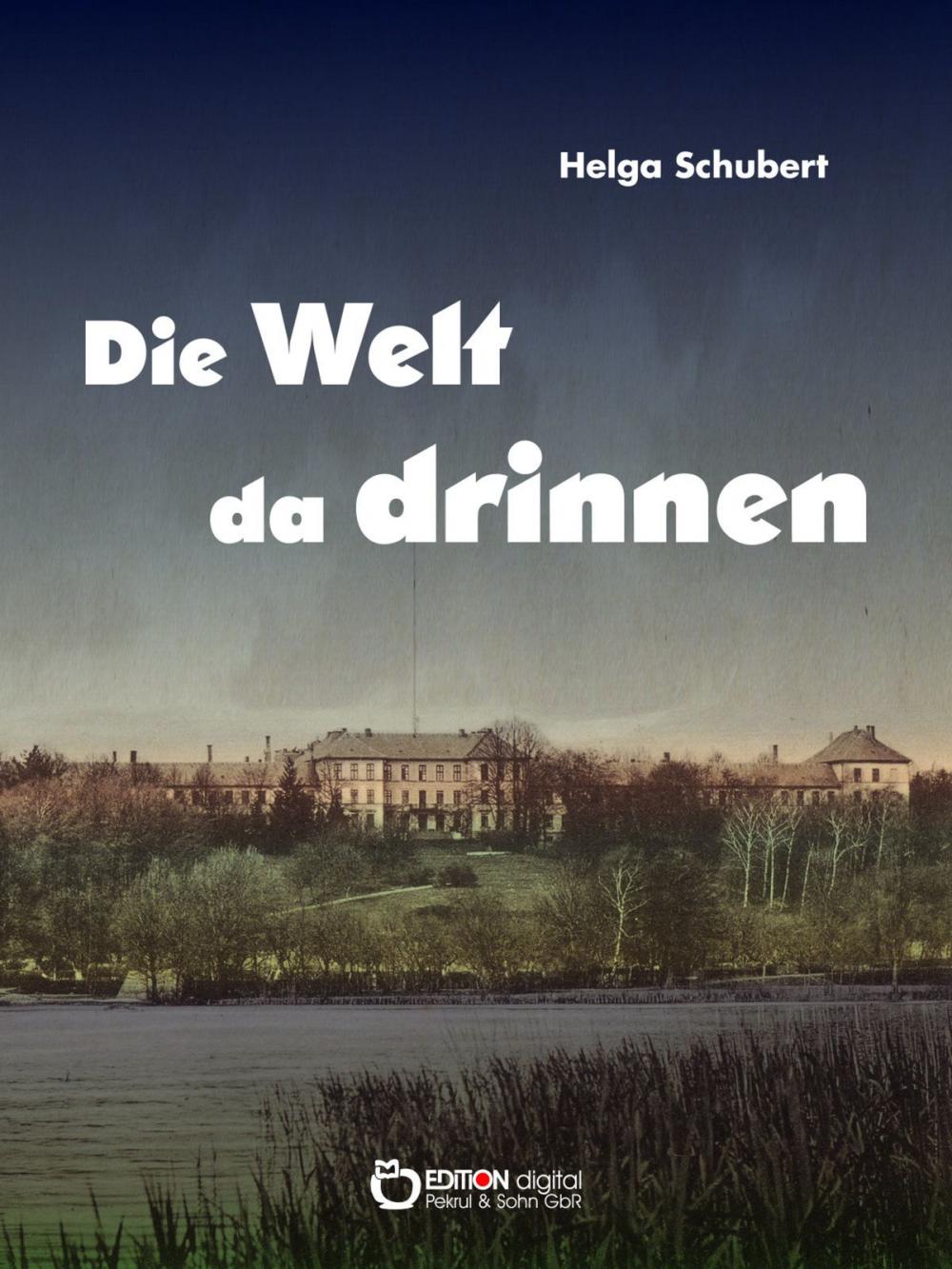 Big bigCover of Die Welt da drinnen