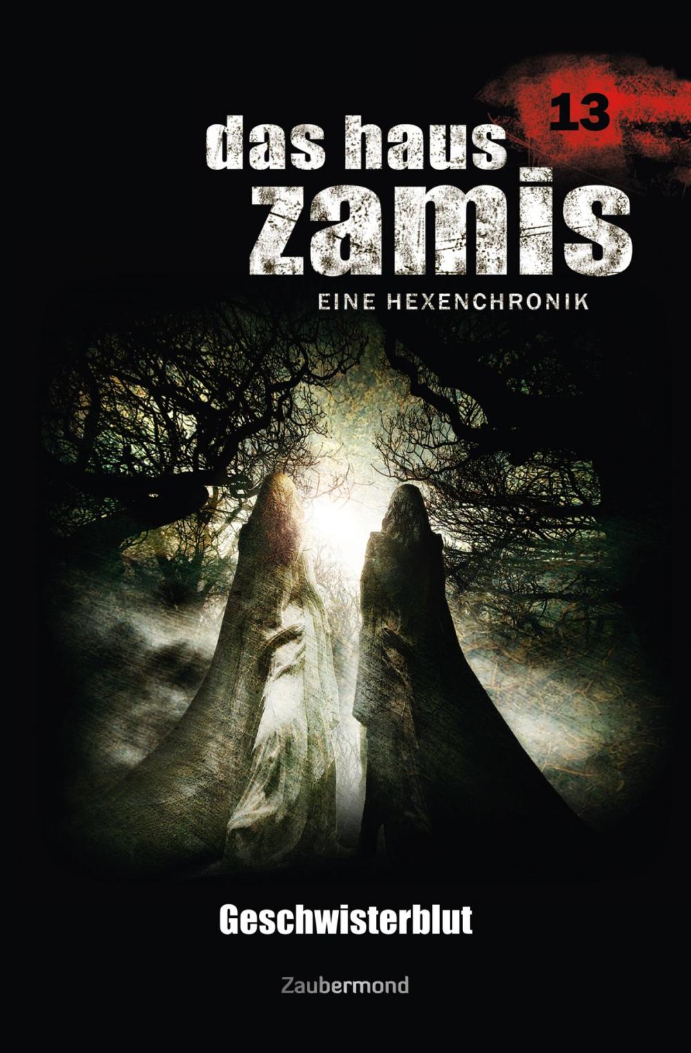 Big bigCover of Das Haus Zamis 13 - Geschwisterblut