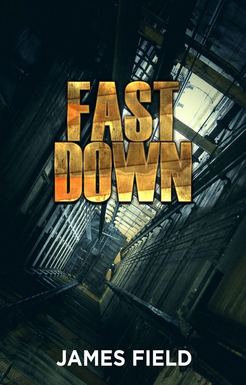 Big bigCover of Fast Down