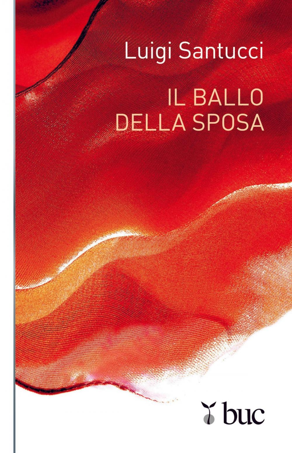 Big bigCover of Il ballo della sposa