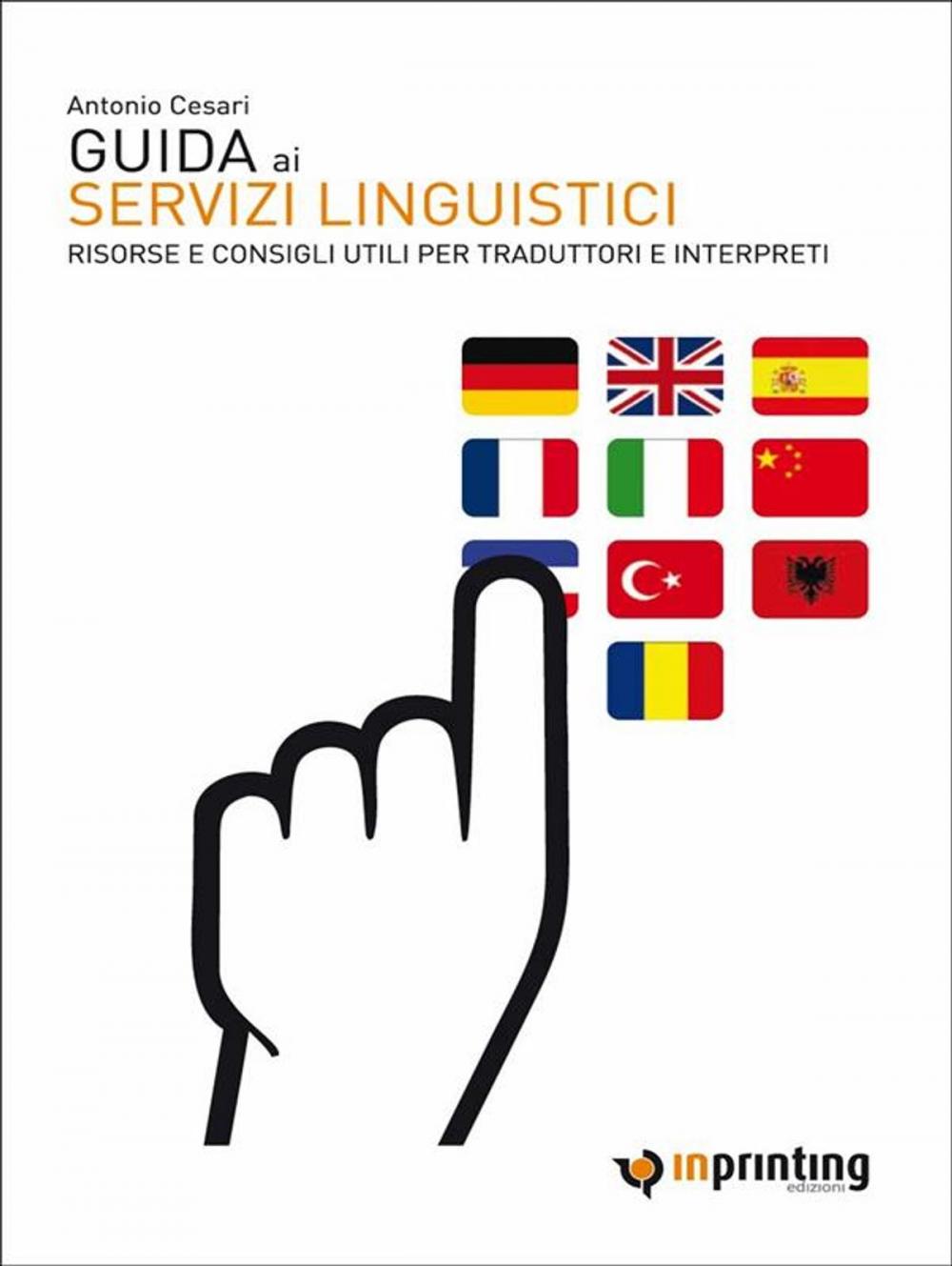 Big bigCover of Guida ai servizi linguistici