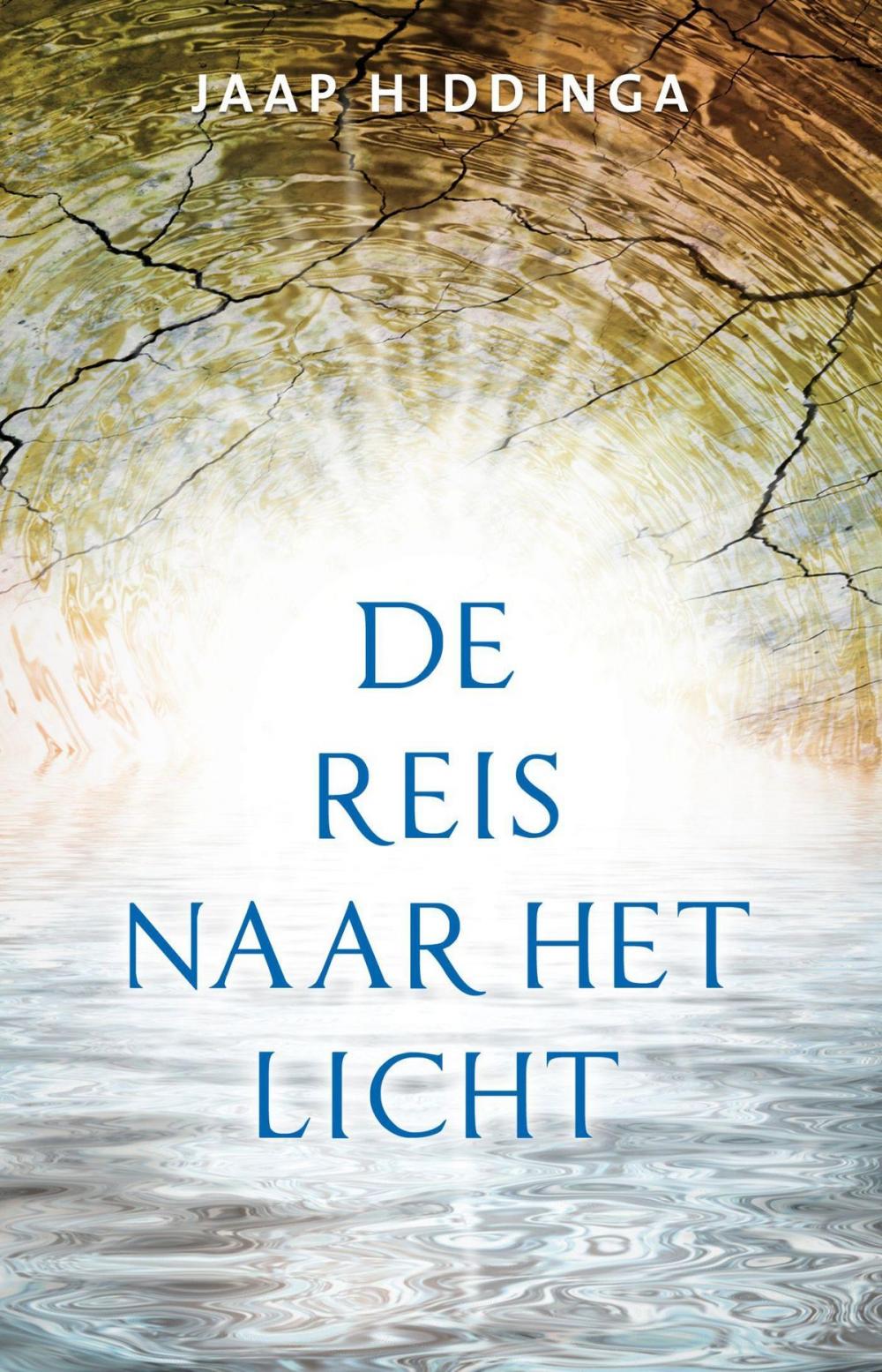 Big bigCover of De reis naar het licht