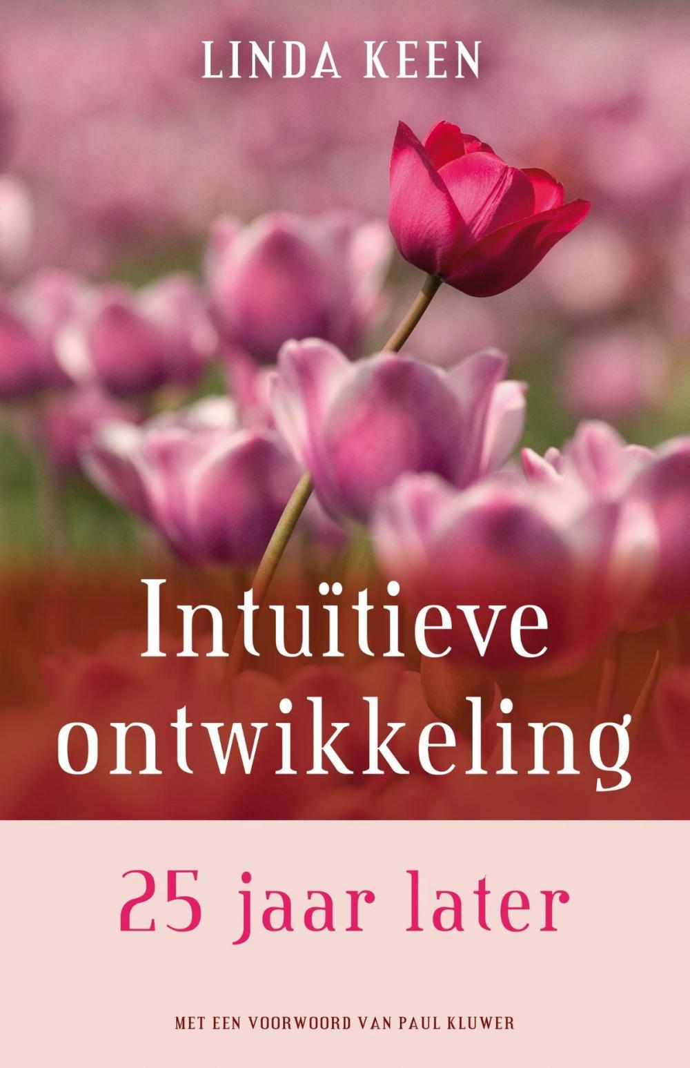 Big bigCover of Intuitieve ontwikkeling 25 jaar later