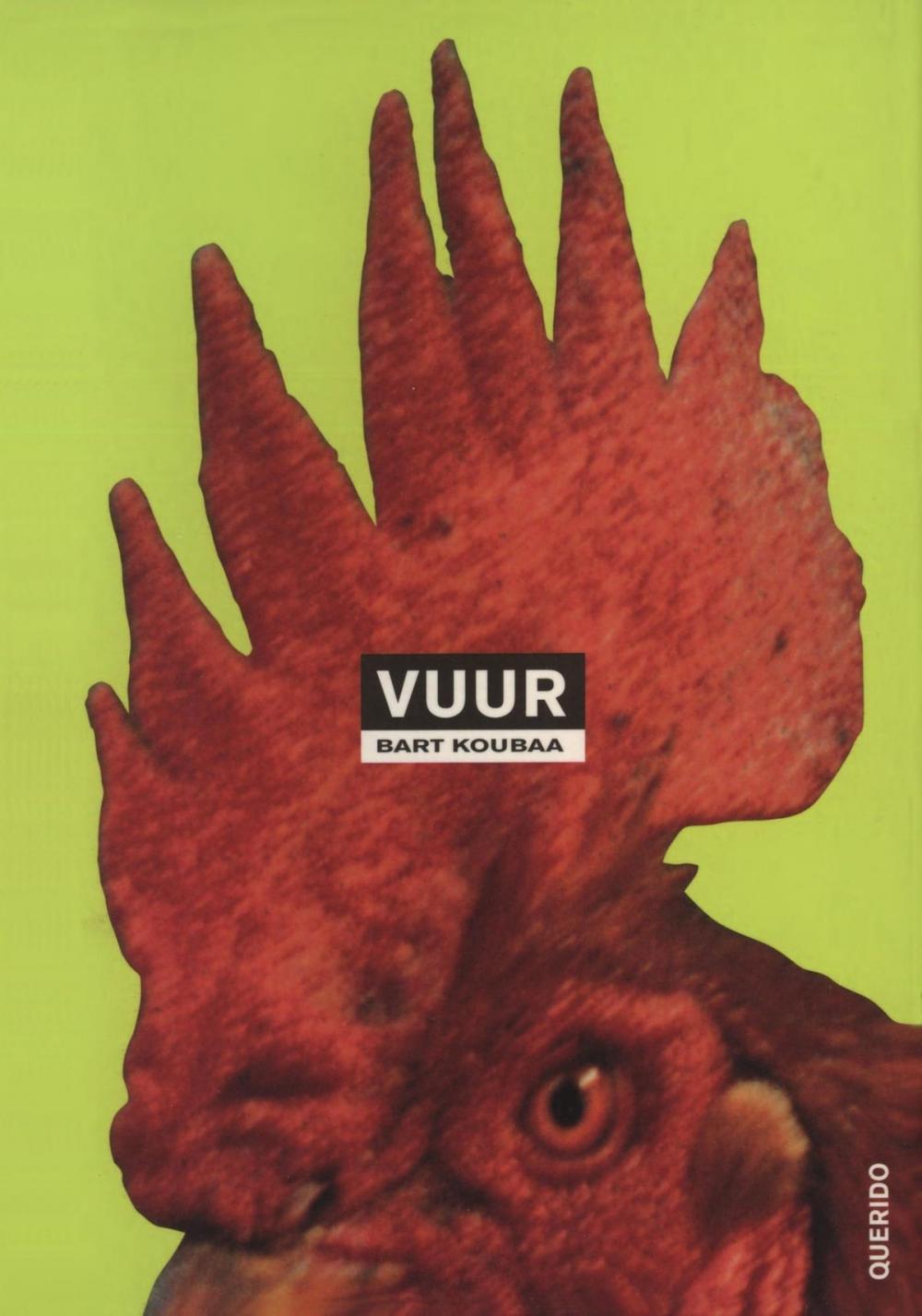 Big bigCover of Vuur