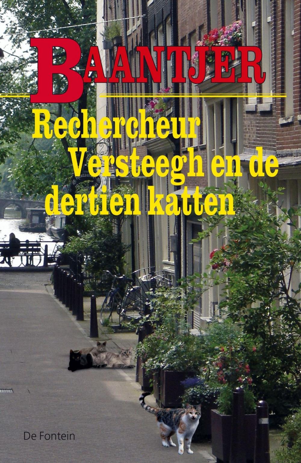 Big bigCover of Rechercheur Versteegh en de dertien katten