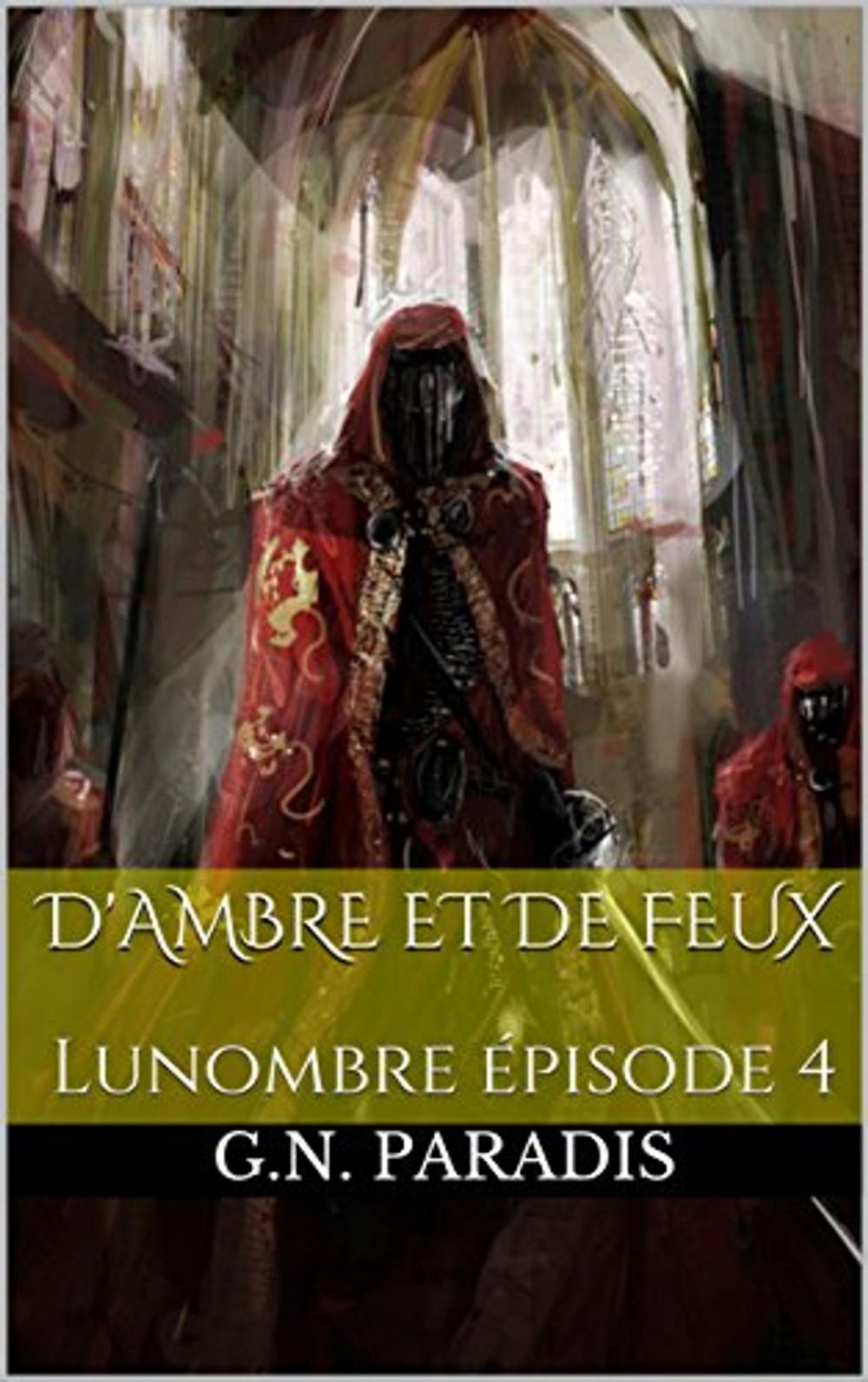 Big bigCover of D'Ambre et de Feux