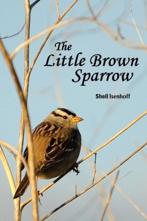 Cover of The Little Brown Sparrow
