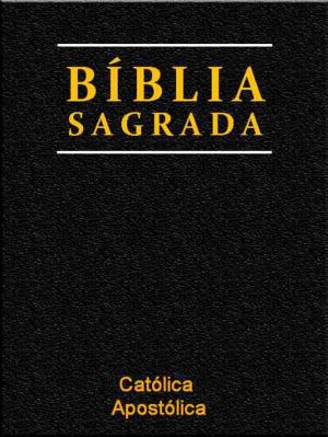 Book cover of Bíblia Sagrada Protestante