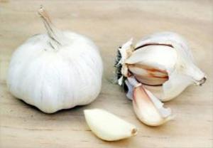 Cover of the book A Crash Course on How to Grow Garlic by Brad O'Brien