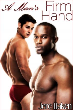 Cover of the book A Man's Firm Hand by Allison Gatta