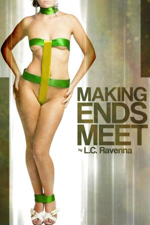 bigCover of the book Making Ends Meet by 
