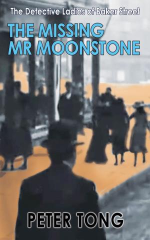 Cover of the book The Missing Mr Moonstone by Stephen Craig