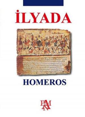 Cover of the book İlyada by Homeros