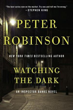 Cover of the book Watching the Dark by RR Turock