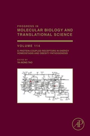bigCover of the book G Protein-Coupled Receptors in Energy Homeostasis and Obesity Pathogenesis by 