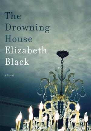 Cover of the book The Drowning House by T. L. Ingham