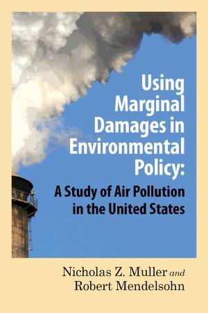 Cover of the book Using Marginal Damages in Environmental Policy by Lawrence M. Mead
