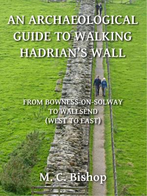 Book cover of An Archaeological Guide to Walking Hadrian’s Wall from Bowness-on-Solway to Wallsend (West to East)