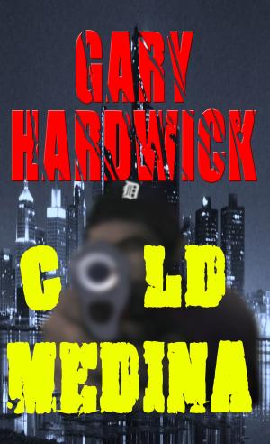 bigCover of the book Cold Medina by 