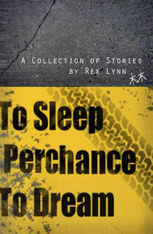 Book cover of To Sleep Perchance to Dream
