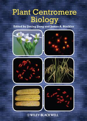 Cover of the book Plant Centromere Biology by Danny Goodman, Michael Morrison, Paul Novitski, Tia Gustaff Rayl