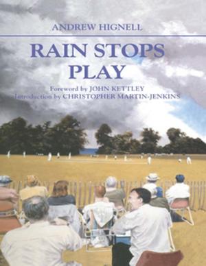 Cover of the book Rain Stops Play by Haim Yacobi