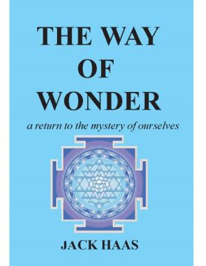 Cover of the book The Way of Wonder: A Return to the Mystery of Ourselves by Paul Naysmith